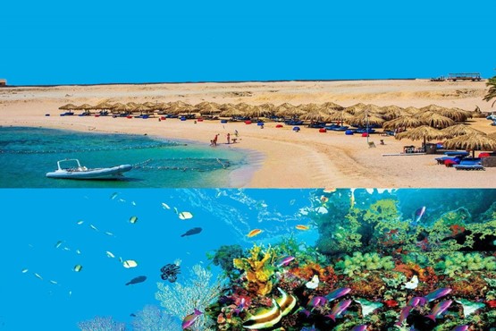 Sharm El Naga Bay - Full Day